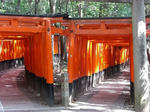 2008082001.JPG
