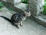 2008082002.JPG