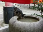 2008082003.JPG