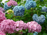 2009062101.JPG