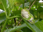 2009062102.JPG