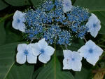 2009062103.JPG