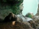 2009091001.JPG
