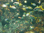 2009091003.JPG