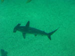 2009091005.JPG