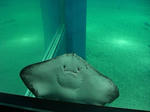 2009091007.JPG