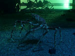 2009091011.JPG