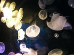 2009091012.JPG