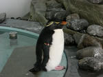 2009091013.JPG
