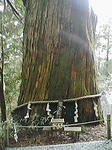 07033101.JPG