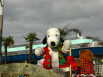 2009120602.jpg