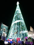 2009120614.jpg