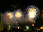 2010080705.JPG