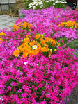 2011041802.JPG