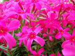 2011041803.JPG