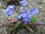 2011041804.JPG