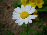 2011041805.JPG