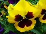 2011041806.JPG