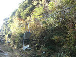 2010120201.JPG
