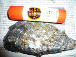 kaki1-kk.jpg