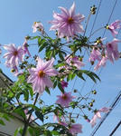 a4fd6907.jpg