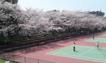 kk-tenisuko-to.jpg