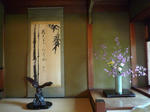 P1010225.jpg