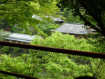 P1010234.jpg