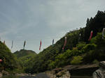 P1010253.jpg