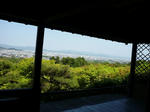 P1010277.jpg