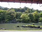 P1010285.jpg