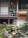 itijyoin-koi.jpg