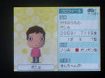 IMAGE_yuume00947.jpg