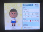 IMAGE_yuume00878.jpg