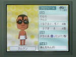 IMAGE_yuume00965.jpg