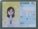 IMAGE_yuume02549.jpg