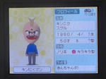 IMAGE_yuume02840.jpg