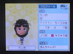 IMAGE_yuume02892.jpg