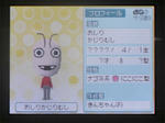 IMAGE_yuume02929.jpg