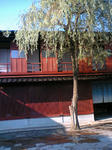 ka04.jpg