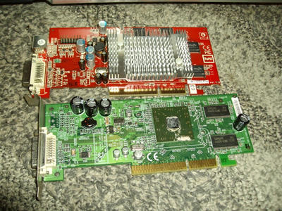 IMGP3808_R.jpg