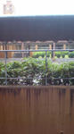 雨の中行われました。柵につたう水滴、見えるかなぁ？