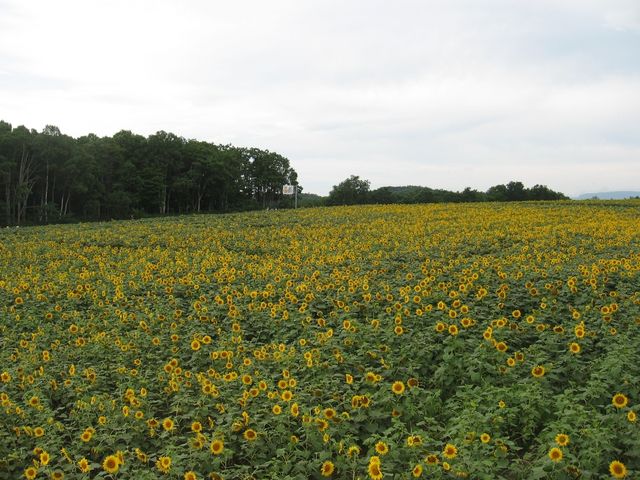 157463_1744859110_179large.jpg