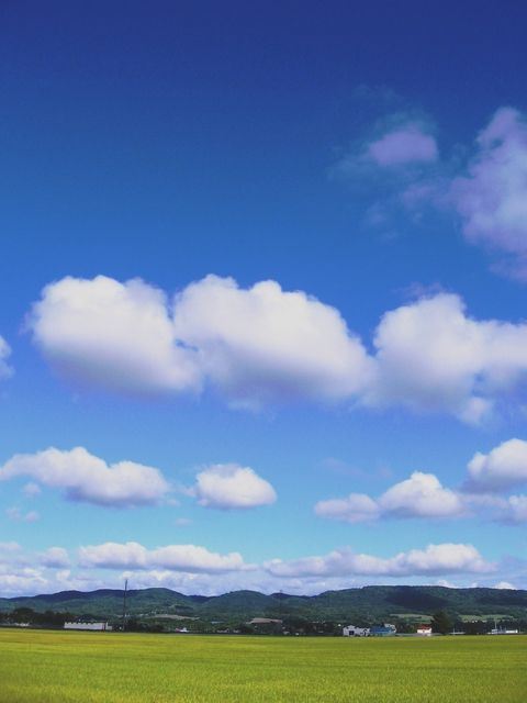 4c8d49f617.jpg