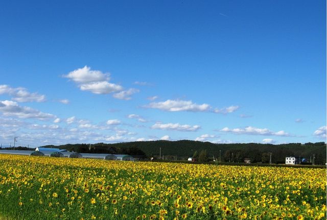 157463_1795212415_177large.jpg