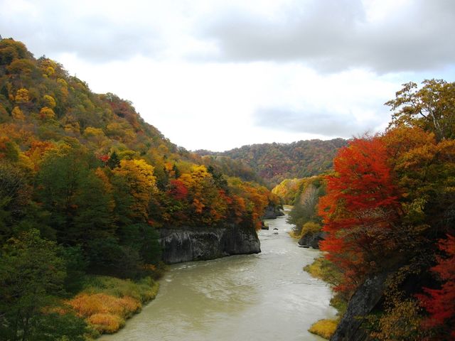 157463_1810720320_6large.jpg