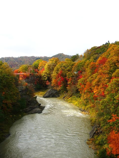 157463_1810719993_45large.jpg