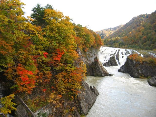 157463_1810720196_164large.jpg