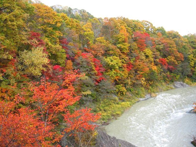 157463_1810720492_188large.jpg