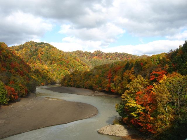 157463_1810719598_141large.jpg